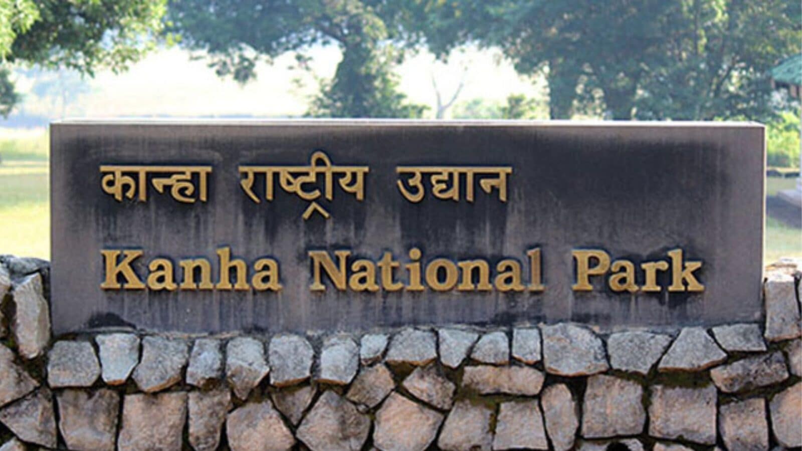 Top 10 National Parks In India